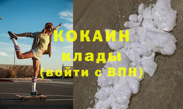 стафф Киселёвск
