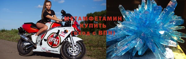 индика Богородицк