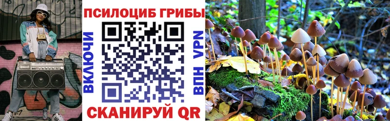 купить наркотик  Новоржев  Галлюциногенные грибы Psilocybe 