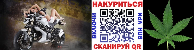 где найти   Новоржев  Каннабис VHQ 